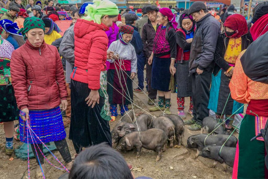 ha-giang-loop-dong-van-market-1-1024x684 northern vietnam travel package