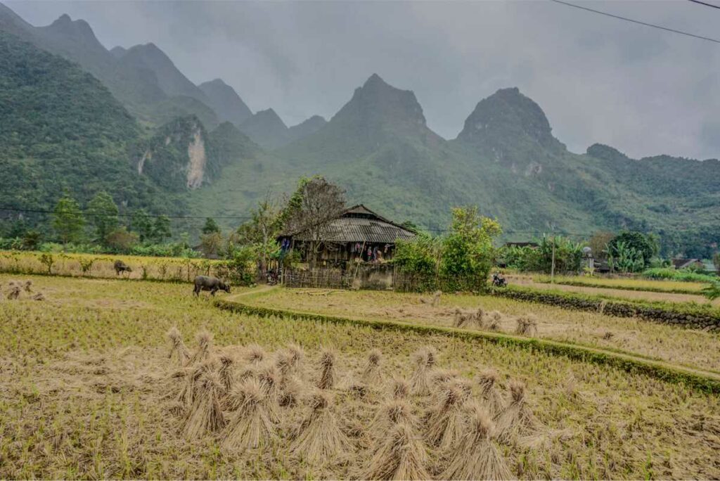 xuan-truong-cao-bang-2-1024x684 northern vietnam travel package