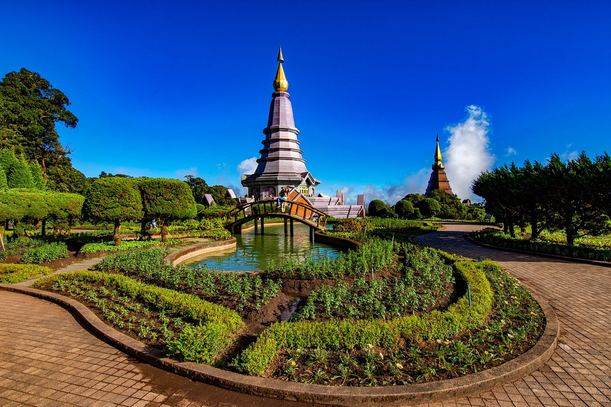 garden garden