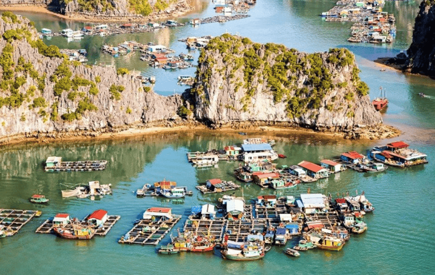 viethaivillage-JofE viethaivillage-JofE