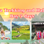 Sapa Trekking and Halong Bay by Bus 5 days