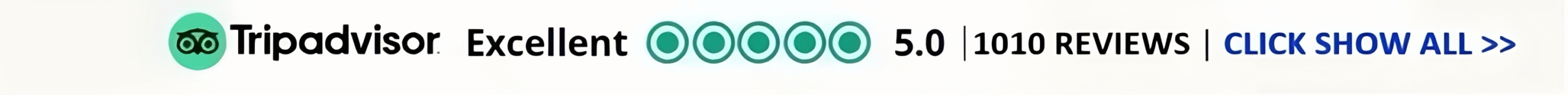 tripadvisor AUTHENTIC ADVENTURES VIETNAM